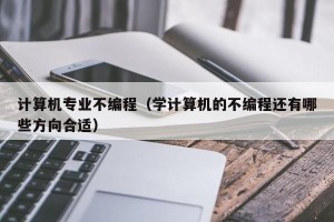 计算机专业不编程（学计算机的不编程还有哪些方向合适）