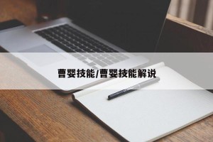 曹婴技能/曹婴技能解说